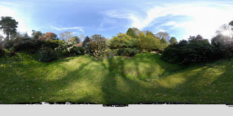 Rhododendron Valley