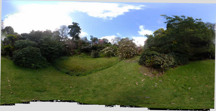 Rhododendron Valley