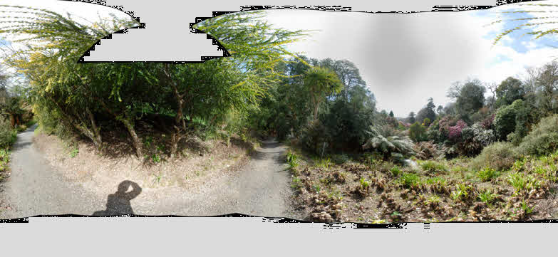 Rhododendron Valley